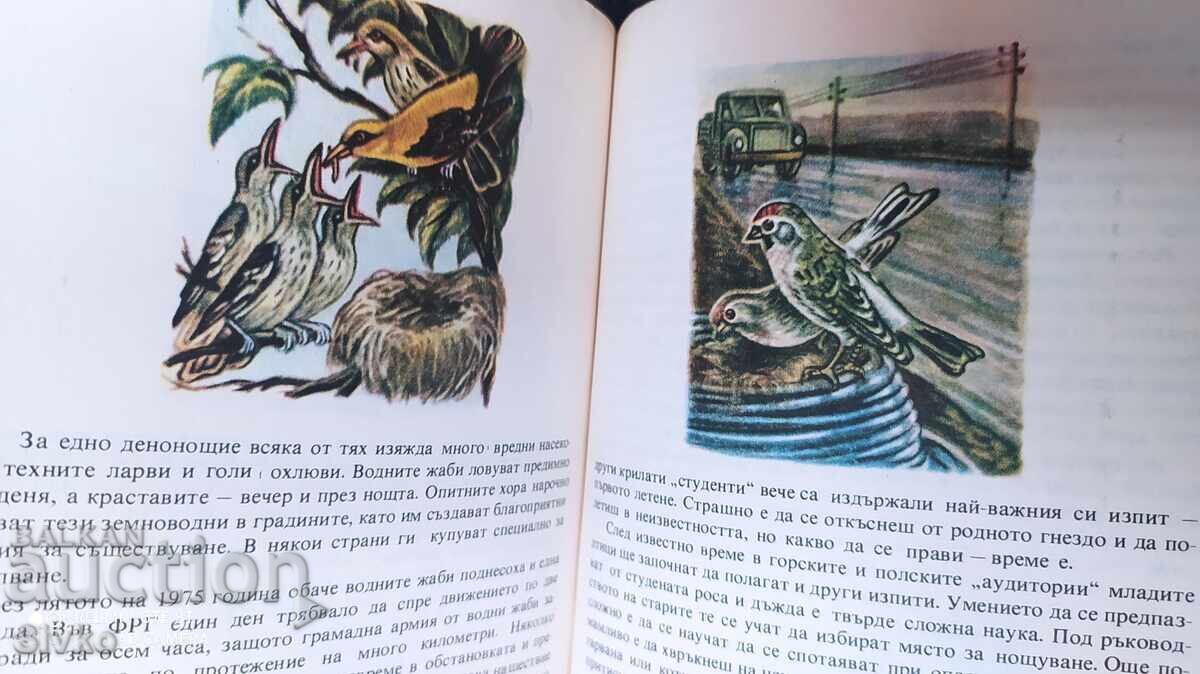 Kaleidoscope of Nature, A. Kalecki, First Edition, Very Good - 7