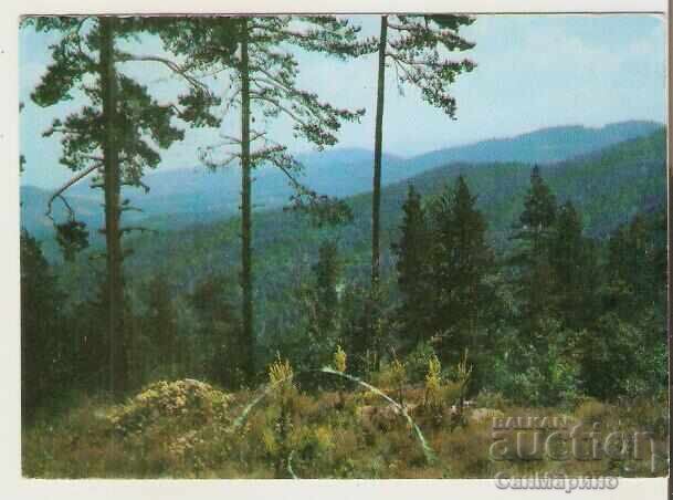 Картичка  България  Пловдив Парк Родопи 1*