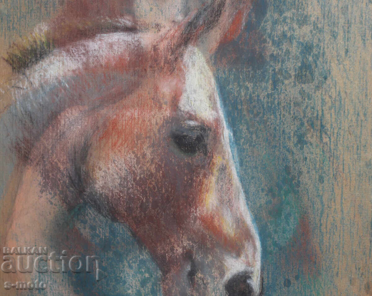 Πορτρέτο με παστέλ (Kαρtina) - 5