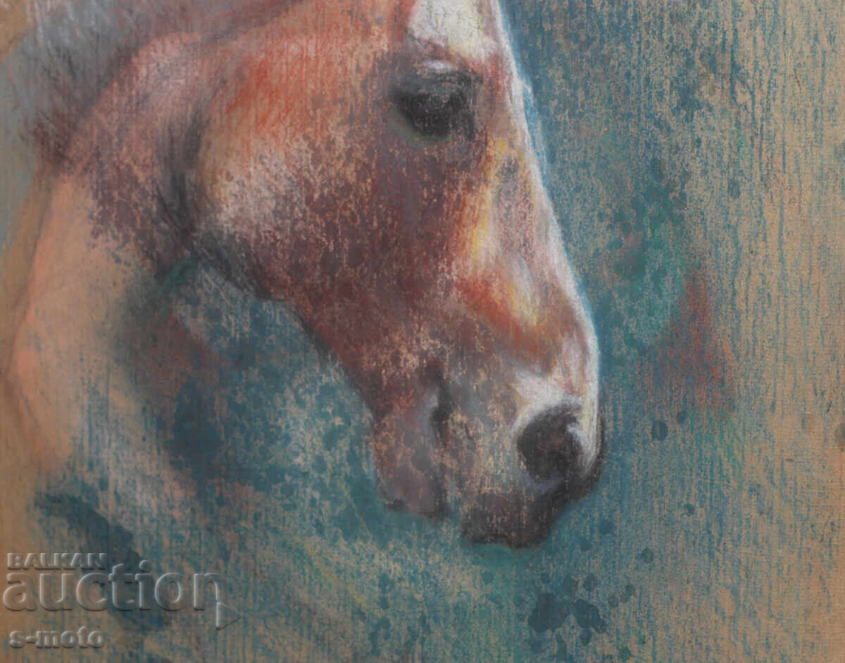 Πορτρέτο με παστέλ (Kαρtina) - 6