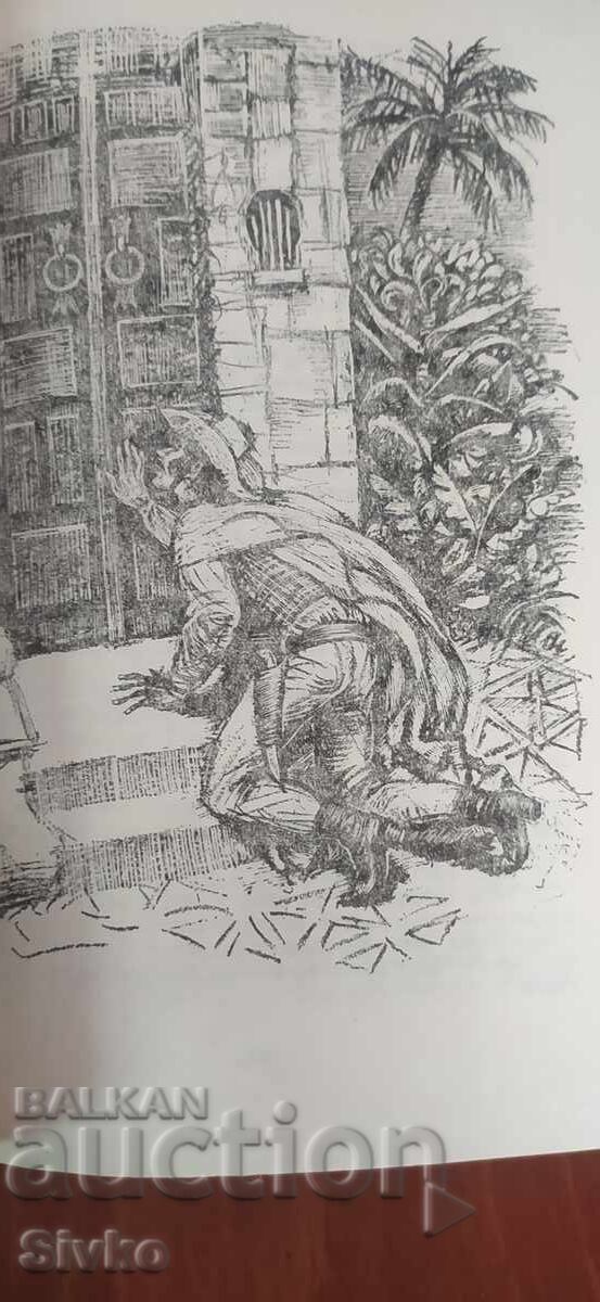 Auction Journey to the Center of the Earth, 800 leagues on the Amazon, Jules Verne, many illustrations Auction Journey to the Center of the Earth, 800 leagues on the Amazon, Jules Verne, many illustrations