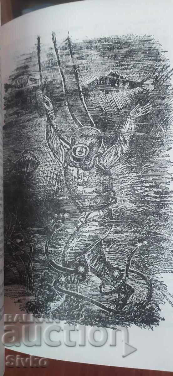 Journey to the Center of the Earth, 800 leagues on the Amazon, Jules Verne, many illustrations - 5 Journey to the Center of the Earth, 800 leagues on the Amazon, Jules Verne, many illustrations - 5