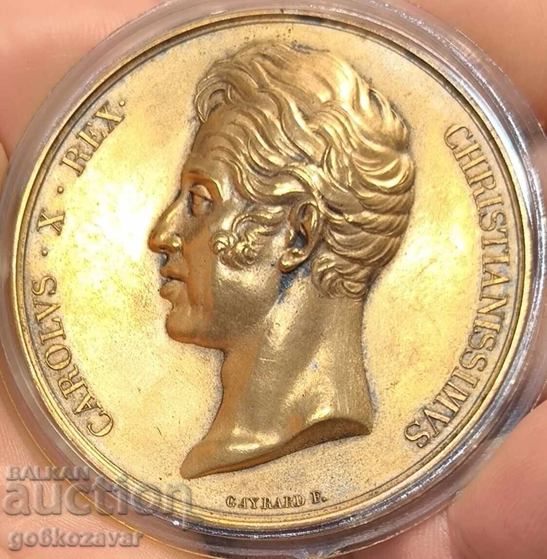 Πολύ σπάνιο μετάλλιο πλακέτα του Charles X 1825 χάλκινο 50 χιλ - 6