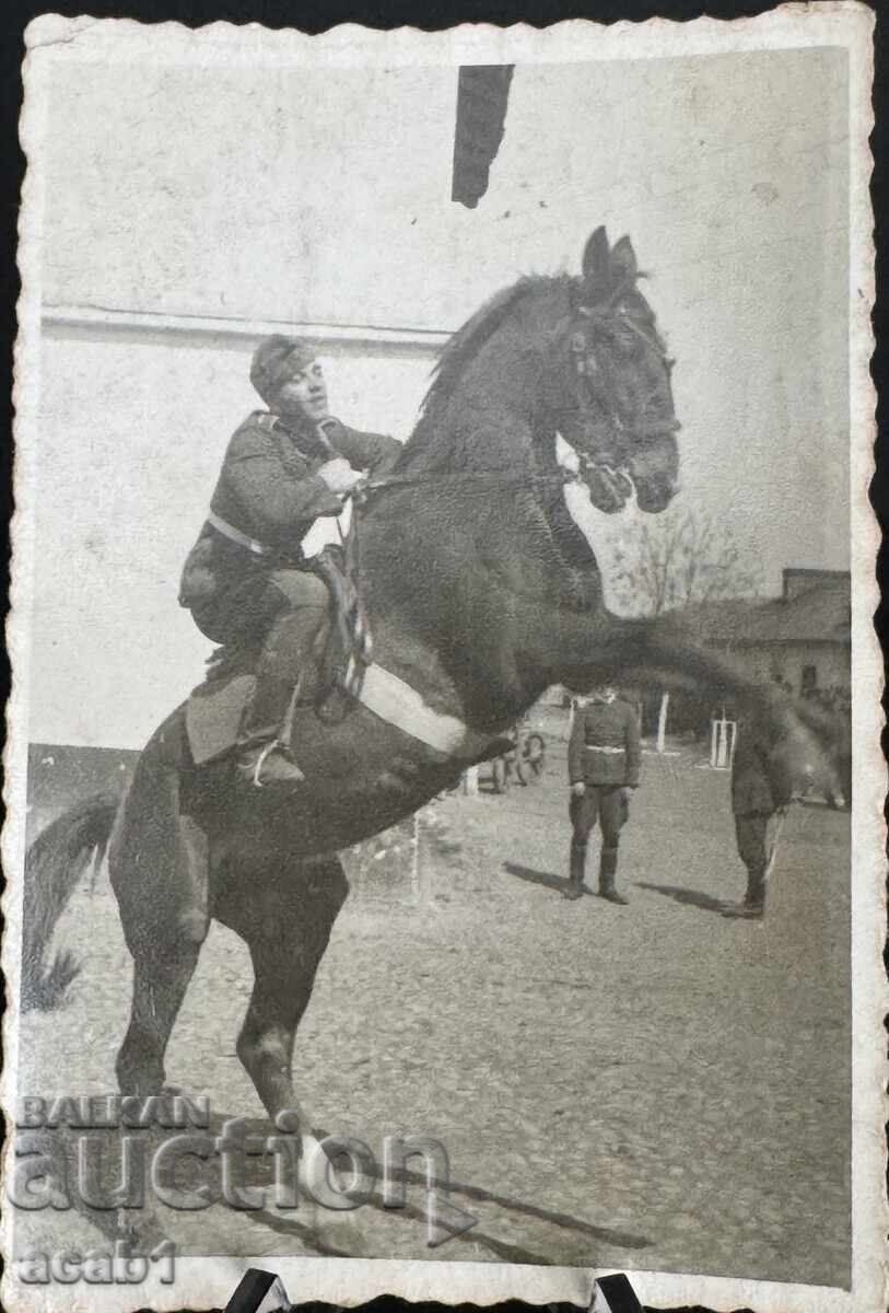 Fotografie cu cal pentru amintire
