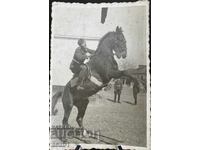 Fotografie cu cal pentru amintire