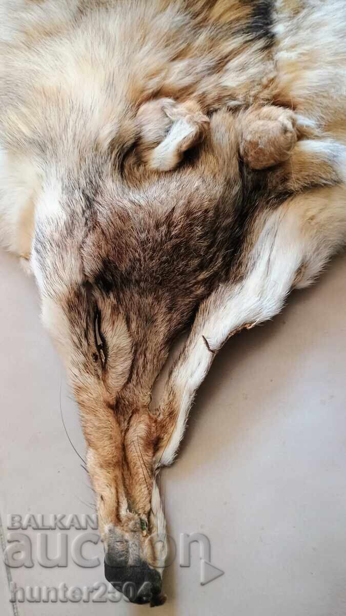 Piele Lup - 180 cm, prelucrată cu preț 299.95 BGN | € 153.36