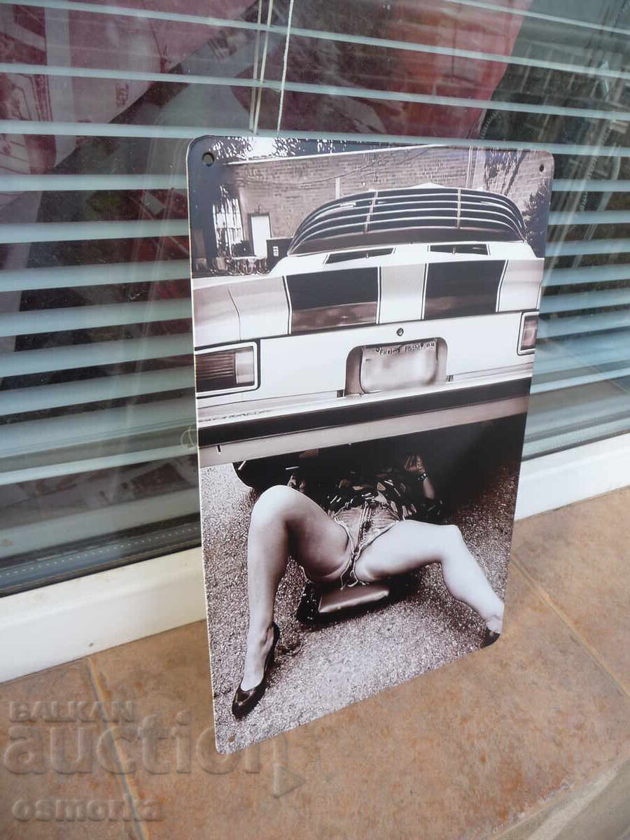 Plăcuță metalică Pisicuță cu blugi rupți tocuri repară mașină cu preț 18.00 BGN | € 9.20