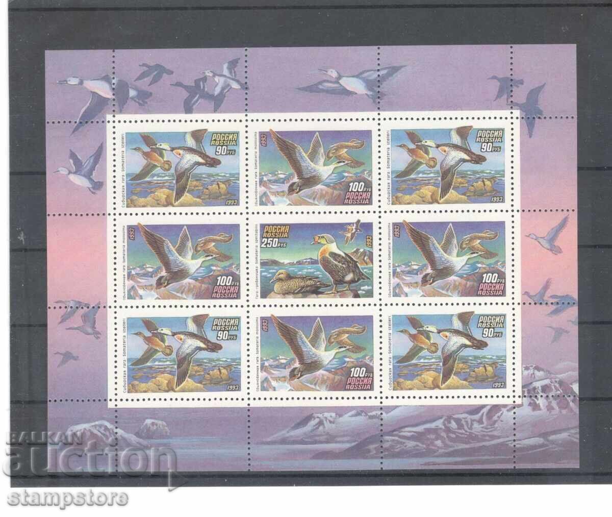 Ρωσία - μικρό φύλλο πουλιών Ρωσία - μικρό φύλλο πουλιών