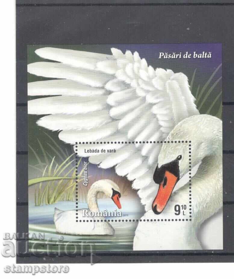 Ρουμανία - Κύκνοι Ρουμανία - Κύκνοι