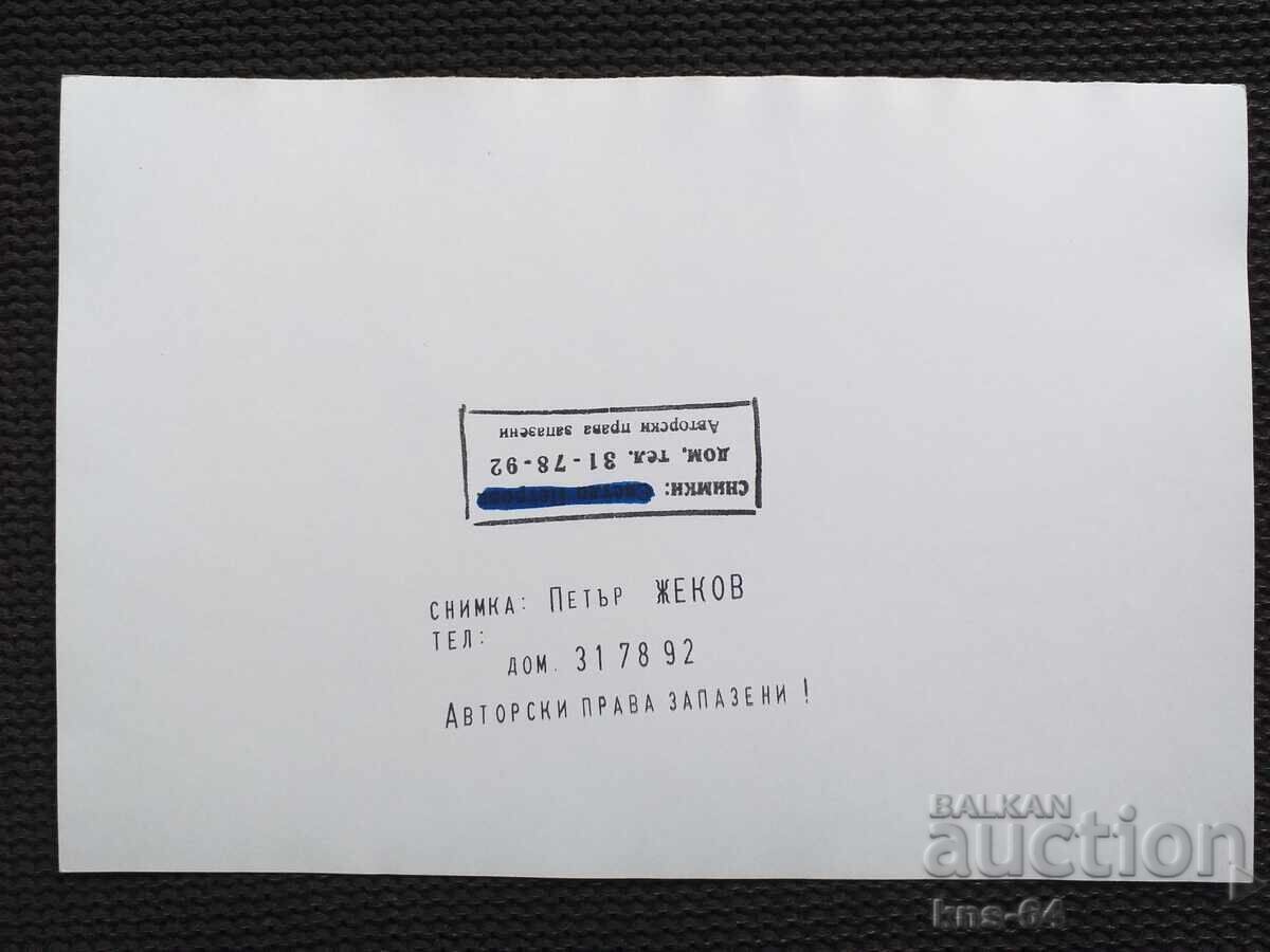 Author's photo 17.5/12 cm with price 2.80 BGN | € 1.43 Author's photo 17.5/12 cm with price 2.80 BGN | € 1.43