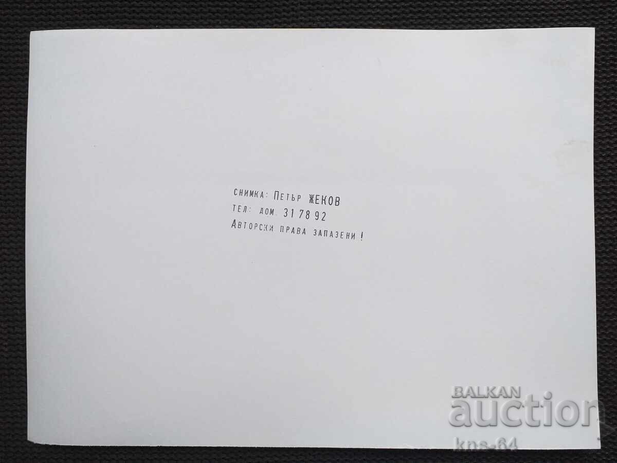 Author's photo 24/17.5 cm with price 5.80 BGN | € 2.97