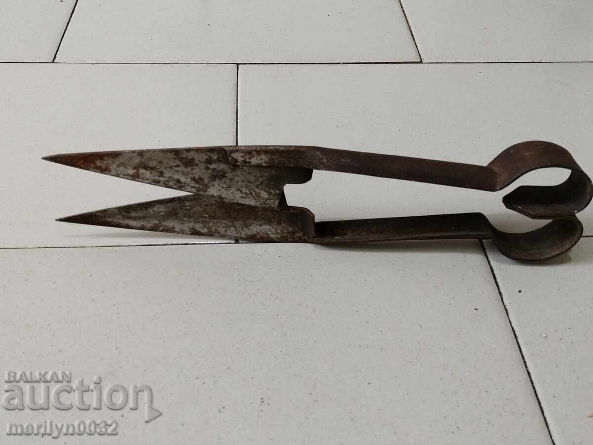 Foarfece vechi de tuns oi, fier forjat, lamă cu preț 39.00 BGN | € 19.94 Foarfece vechi de tuns oi, fier forjat, lamă cu preț 39.00 BGN | € 19.94