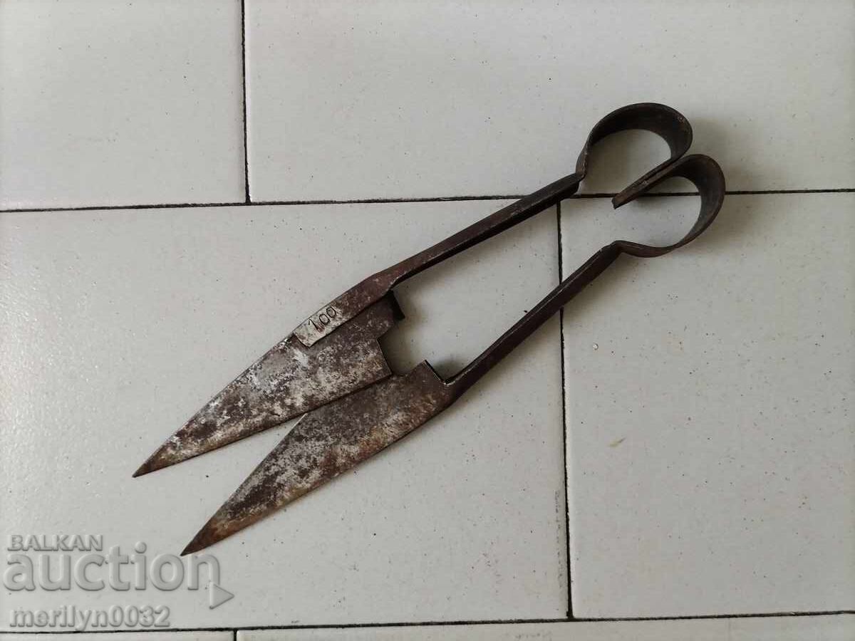 Licitație Foarfece vechi de tuns oi, fier forjat, lamă Licitație Foarfece vechi de tuns oi, fier forjat, lamă
