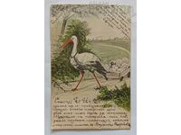 LA MULȚI ANI P.C. 1904