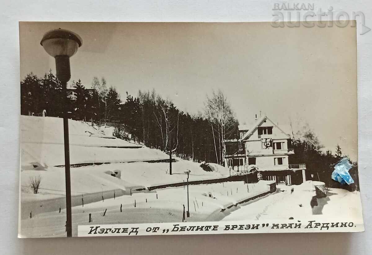 ΑΡΔΙΝΟ ΜΠΕΛΙΤΕ ΜΠΡΕΖΙ 1972 μ.Χ ΑΡΔΙΝΟ ΜΠΕΛΙΤΕ ΜΠΡΕΖΙ 1972 μ.Χ
