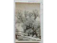 ΓΡΑΔ ΠΕSHTΕΡΑ ΒΕΚΟΒΝΟΤΟ ΔŬΡΒΟ 1968 g. Π.Κ