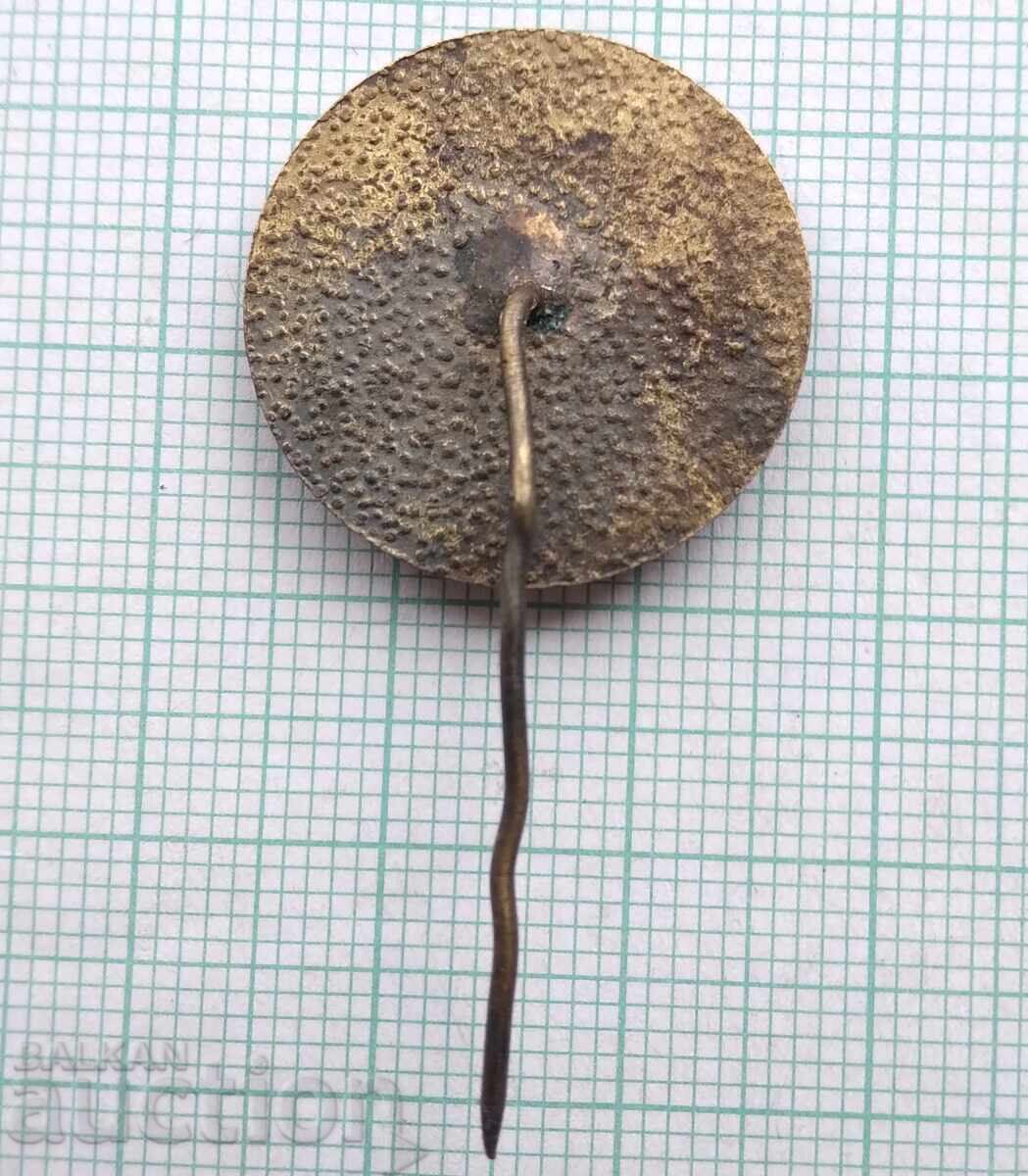 Auction  18825 Badges - 100g Veliko Tarnovo Regional Historical Museum