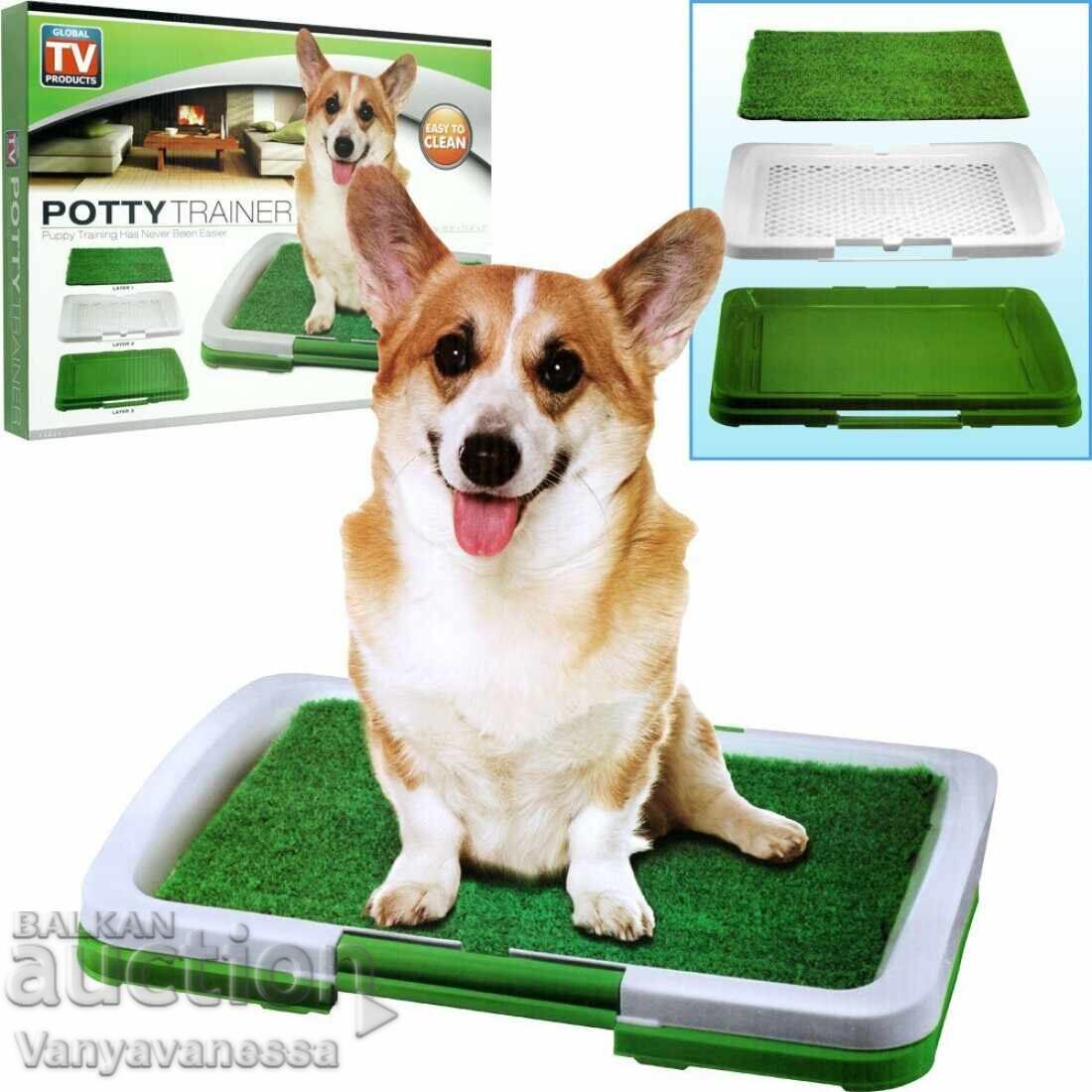Auction Dog Toilet Potty Trainer green grass Auction Dog Toilet Potty Trainer green grass