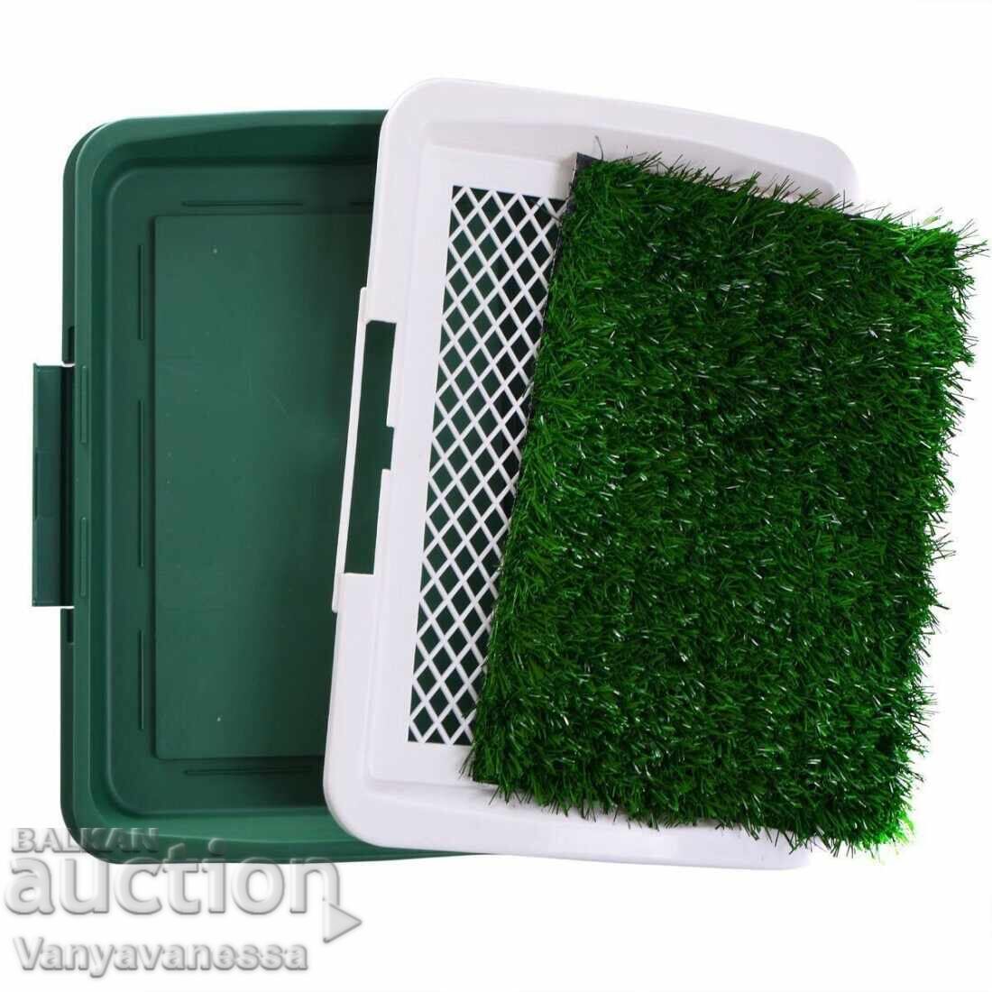 Delivery of Dog Toilet Potty Trainer green grass Delivery of Dog Toilet Potty Trainer green grass