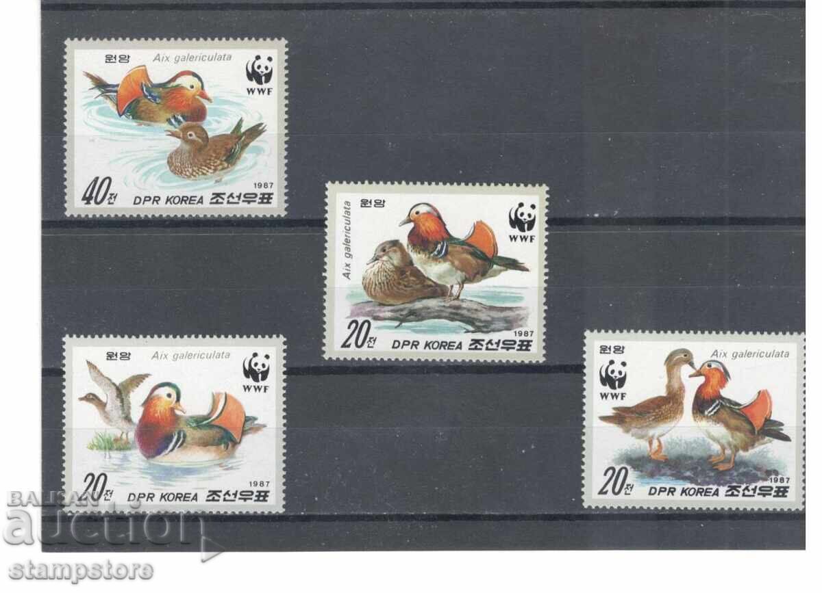 Северна Корея - Птици - WWF Северна Корея - Птици - WWF