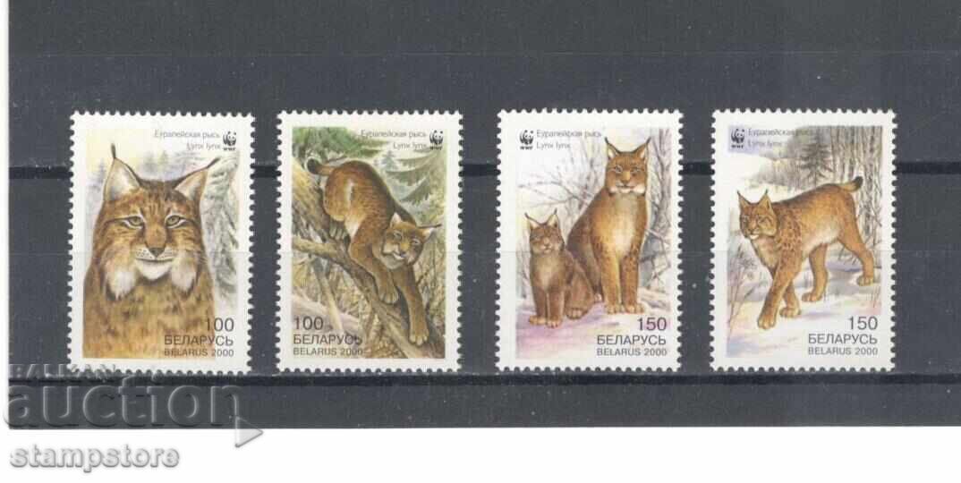 Belarus - Wild Cats - WWF