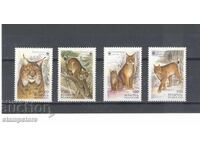 Belarus - Wild Cats - WWF