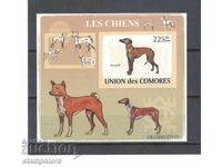 Comoros Islands - Dogs