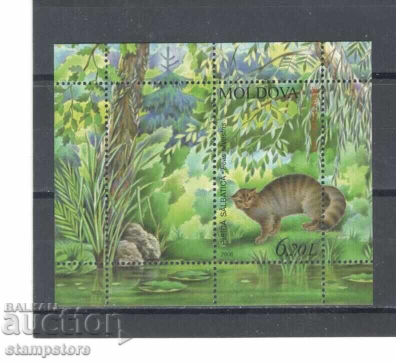 Moldova - Protected Animals