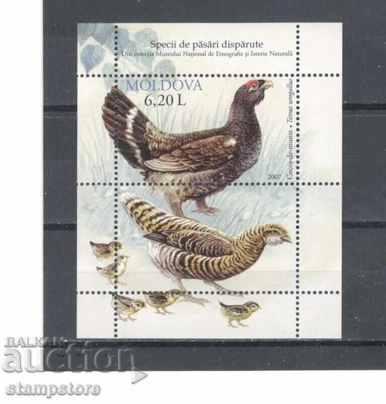 Moldova - Birds Moldova - Birds