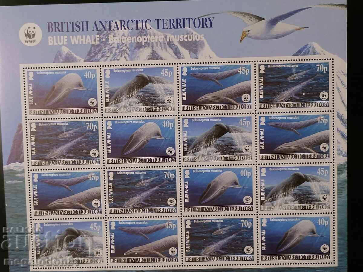 B.A.T. - WWF, balenă albastră