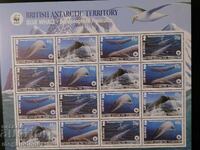 B.A.T. - WWF, Blue Whale