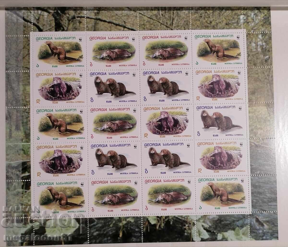 Georgia - WWF, Otter Georgia - WWF, Otter