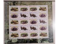 Georgia - WWF, Otter