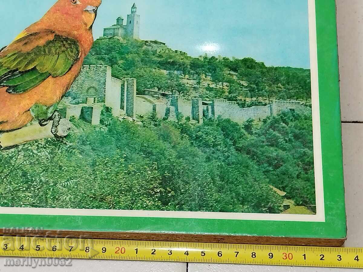 Аукцион Рекламна табела на природозащитна о-ция "Картал" В.Търново Аукцион Рекламна табела на природозащитна о-ция "Картал" В.Търново