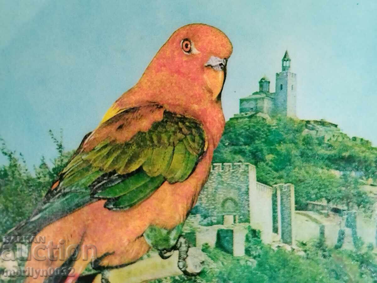 Рекламна табела на природозащитна о-ция "Картал" В.Търново - 6 Рекламна табела на природозащитна о-ция "Картал" В.Търново - 6