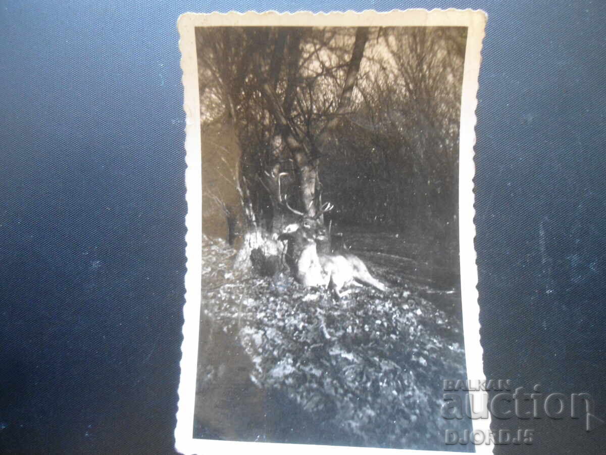 Παλιά φωτογραφία, 19.V.1944, "... για θυσία στον Ν.Μ. Βόρις" Παλιά φωτογραφία, 19.V.1944, "... για θυσία στον Ν.Μ. Βόρις"