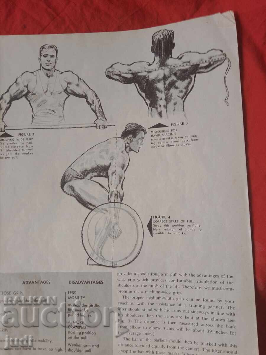 Δημοπρασία Δύναμη Μυών 1963 g Δημοπρασία Δύναμη Μυών 1963 g