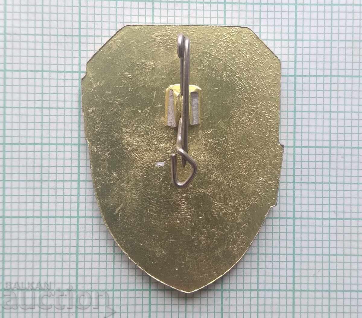 Auction 18854 Badge - Squad Member Auction 18854 Badge - Squad Member