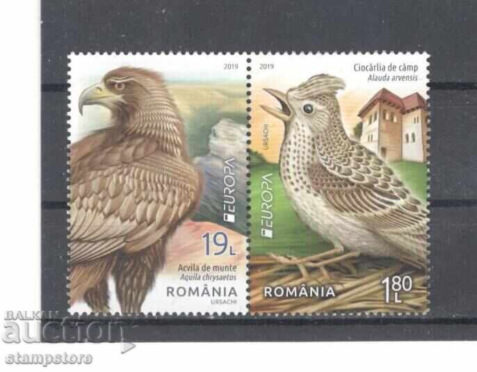 Romania - Birds