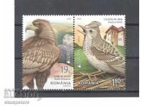 Romania - Birds