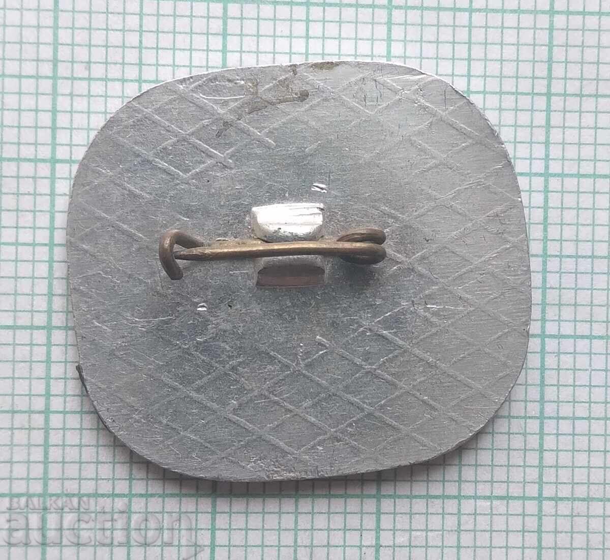 Auction  18859 Badge - Panorama of the Pleven Epopee 1877