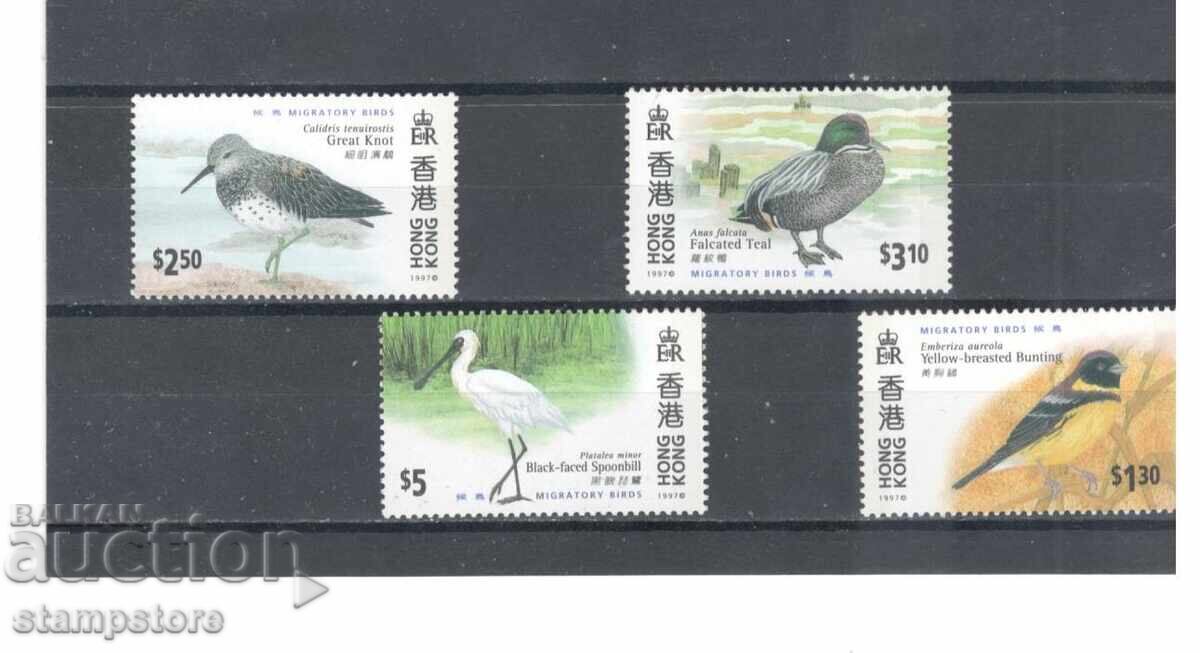 Χονγκ Κονγκ - Πουλιά