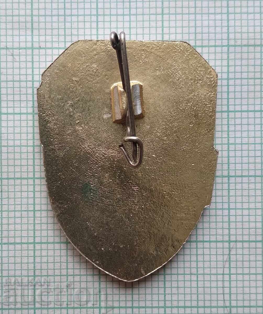 Auction  18861 Badge - Squad Member