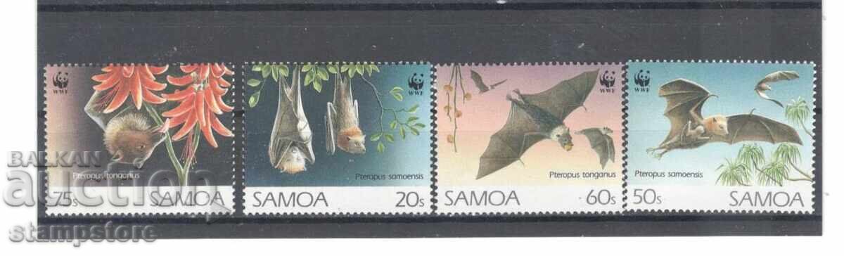 Samoa - Fauna - WWF Samoa - Fauna - WWF