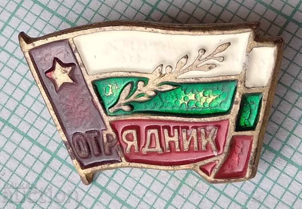 18870 Badge - Squad Member