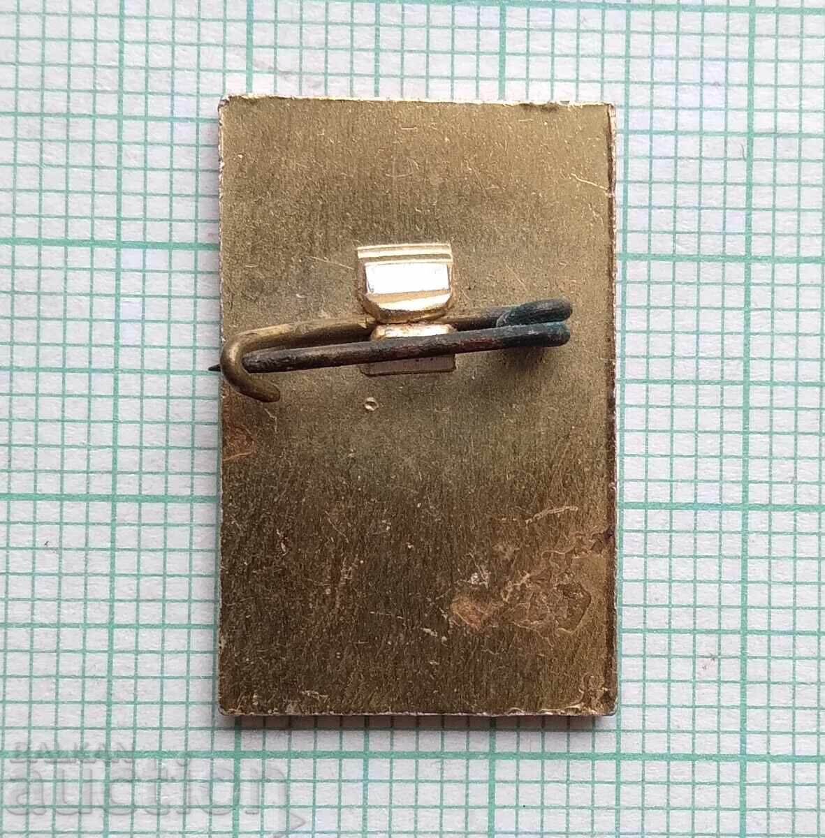 Delivery of 18878 Badge - Pop Hariton Delivery of 18878 Badge - Pop Hariton