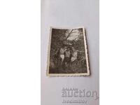 Photo of Three Young Men in Shorts