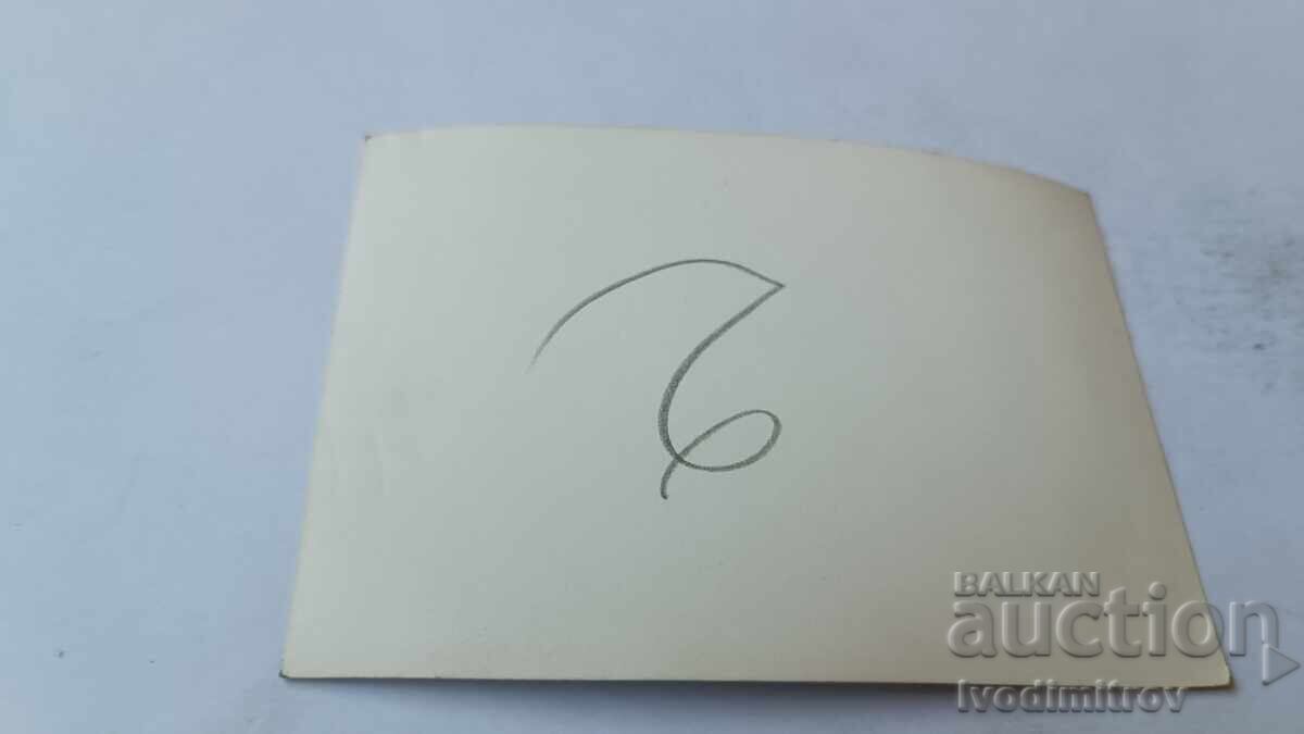 Fotografie Tineri și tinere pe ponton cu preț 1.65 BGN | € 0.84