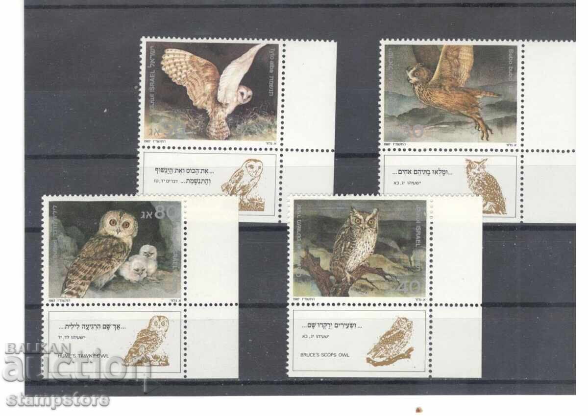 Ισραήλ - Πουλιά