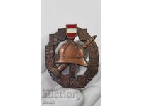 Rară insignă de pompier colecționabilă Austria bronz